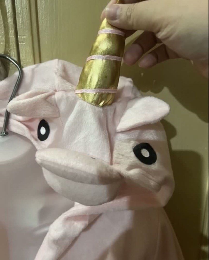 Halloween pink unicorn costume (Category: Babies & Kids Fashion) located in Paranaque City. Submitted by arianem031087 (Listing ID 1467071437, Image 2). Description: Size: large Age: 6/7/8/9.