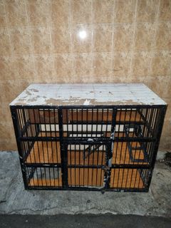 (Kategori: ) berada di . Dikirim oleh nathvan (ID iklan 1467088240, Gambar 1). Deskripsi: .