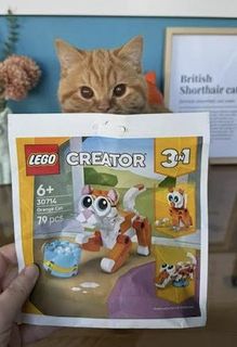 (Category: ) located in . Submitted by shop88990 (Listing ID 1467010339, Image 1). Description: .