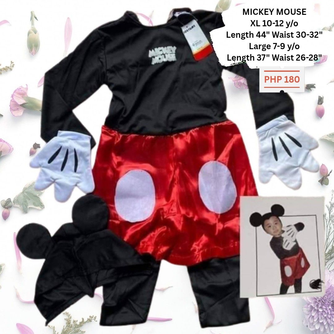 Mickey Mouse Costume (Category: Looking For) located in Bontoc. Submitted by shaneebhee (Listing ID 1467109685, Image 1). Description: .