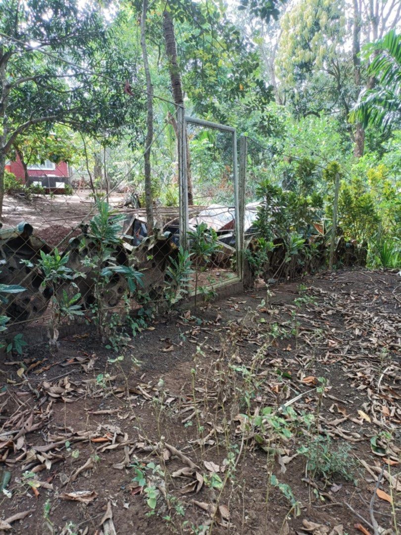 Tanay Lot for Sale (Category: Lot) located in Quezon City. Submitted by jeanyvett18434 (Listing ID 1467166830, Image 2). Description: - Large plot of land surrounded by mature trees and greenery - Fully enclosed with a secure chain-link fence border - Includes a small shed structure on the property - Natural dirt terrain with scattered foliage and shaded spots - Ideal space for various outdoor uses or development projects.