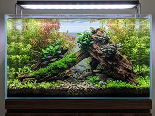 (Category: ) located in . Submitted by elmohi5 (Listing ID 1467068002, Image 1). Description: .