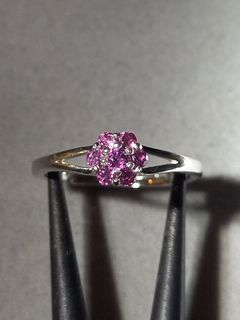(Category: ) located in . Submitted by cheerday888 (Listing ID 1467097698, Image 1). Description: .