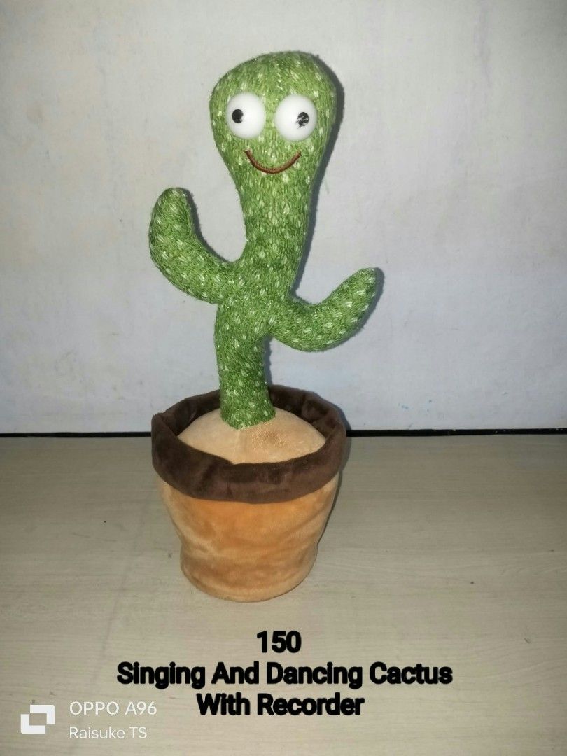 Singing And Dancing Cactus With Recorder (Category: Plushies & Soft Toys) located in Taguig. Submitted by raisuketoysshop (Listing ID 1467080499, Image 1). Description: PTPA NEW ARRIVAL!!.. PLEASE RESPECT POST AND PRICES.. Tested working and in good condition.. Secondhand Items Declared as is pa din po Pm for demo video What you see is what you get.. Please manage your expectations.. +40% COD Sho pee Check Out (sho pee fee+Tax+shipping materials)