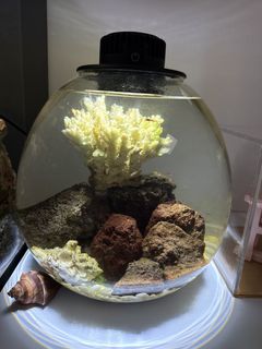 (Category: ) located in . Submitted by plucky1290 (Listing ID 1467018472, Image 1). Description: .