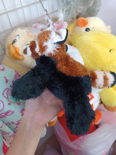 (Category: ) located in . Submitted by rnfarhana (Listing ID 1467016380, Image 1). Description: .