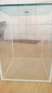 (Category: ) located in . Submitted by matahari03 (Listing ID 1467208457, Image 1). Description: .
