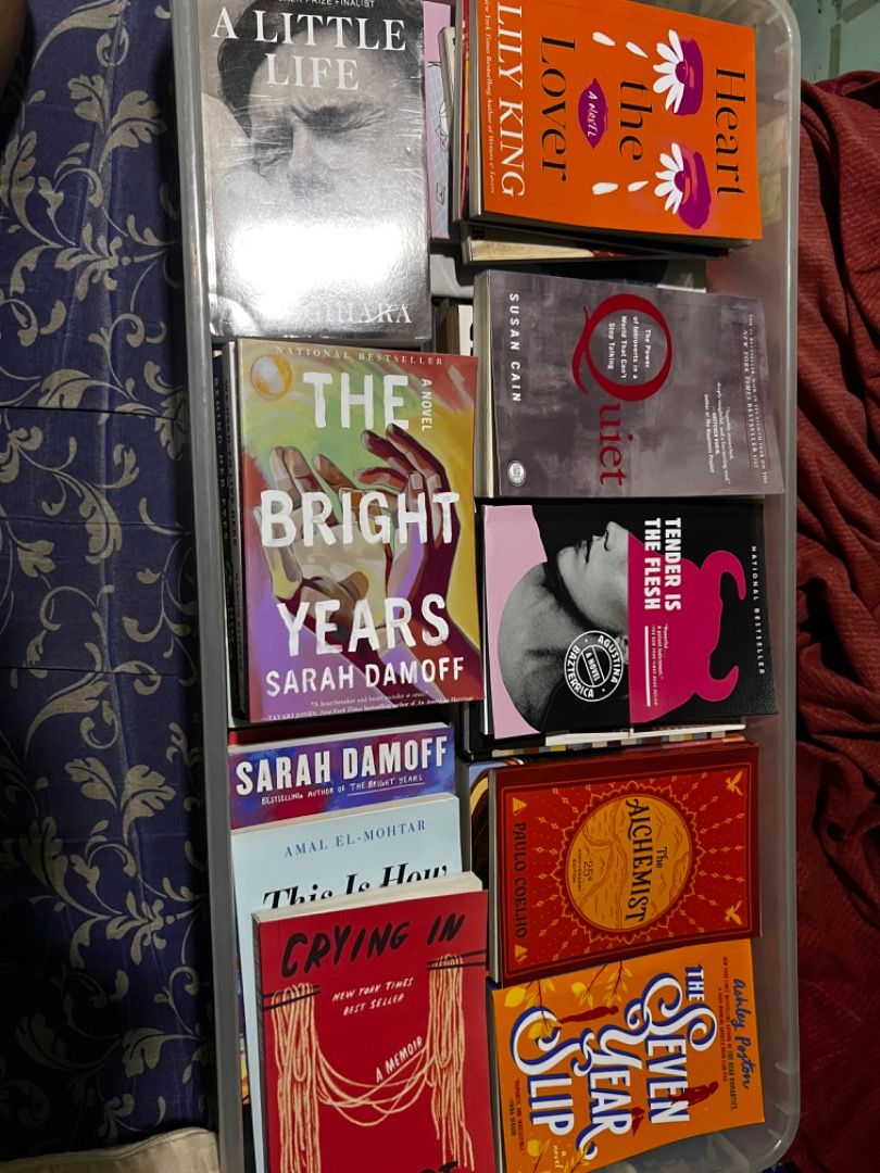 42pcs Novels (Reprints) (Category: Storybooks) located in Caloocan City. Submitted by mherckyyragkee (Listing ID 1467302571, Image 2). Description: Take All for ₱1,200. Message me to see all the books’ condition..