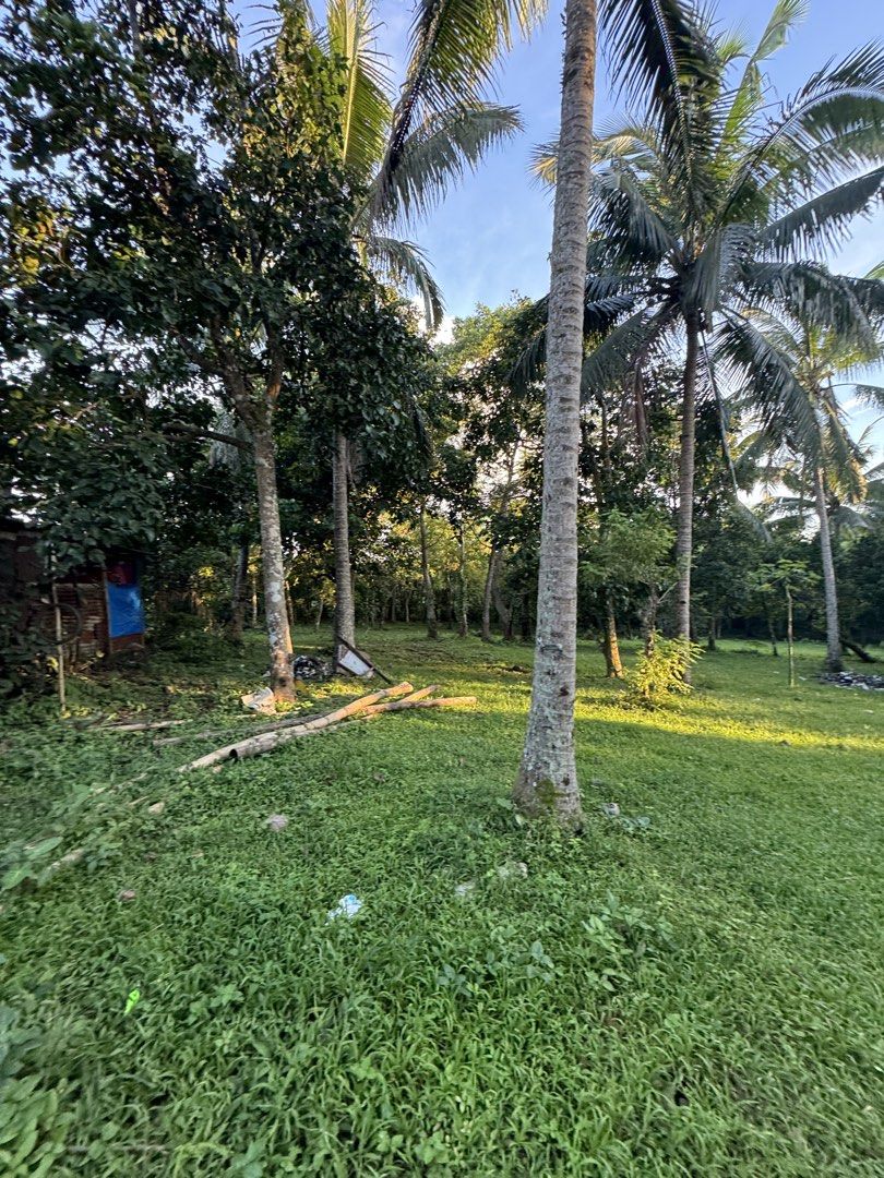 Alfonso, Cavite Property for Sale (Category: Lot) located in Manila. Submitted by margepineda (Listing ID 1466493411, Image 2). Description: FOR SALE: 5,200 SQM PROPERTY IN ALFONSO, CAVITE 📍 Manggas 2, Alfonso, Cavite 📐 Lot Area: 5,200 sqm 💰 Selling Price: ₱10,000/sqm 💰 Total: ₱52,000,000 The property is fully fenced and located approximately 30 meters from the main road, with easy access. There is already an unfinished construction on the pr