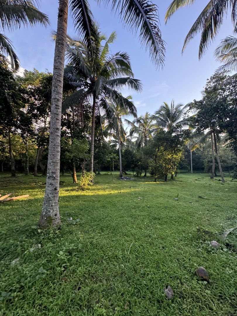 Alfonso, Cavite Property for Sale (Category: Lot) located in Manila. Submitted by margepineda (Listing ID 1466493411, Image 3). Description: FOR SALE: 5,200 SQM PROPERTY IN ALFONSO, CAVITE 📍 Manggas 2, Alfonso, Cavite 📐 Lot Area: 5,200 sqm 💰 Selling Price: ₱10,000/sqm 💰 Total: ₱52,000,000 The property is fully fenced and located approximately 30 meters from the main road, with easy access. There is already an unfinished construction on the pr