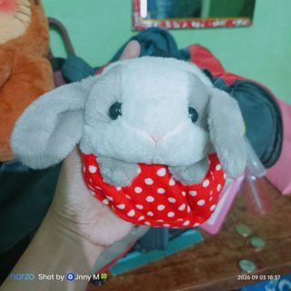 (Category: ) located in . Submitted by mhayestufftoys (Listing ID 1467352514, Image 1). Description: .