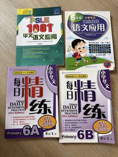 Pri 5 Chinese assessment book bundle, Hobbies & Lifestyle, Books ...