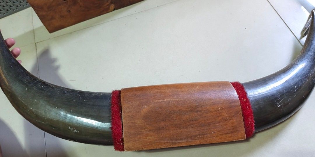 Buffalo horn for display (Category: Wall Decor) located in Polomolok. Submitted by dkljapansurplus (Listing ID 1467190877, Image 2). Description: Horn for display mula japan Size, Length 75cm, H: 26cm Freeshipping via flash.