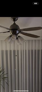 5-Blade Ceiling Fan with Light Fixture, Furniture & Home Living ...