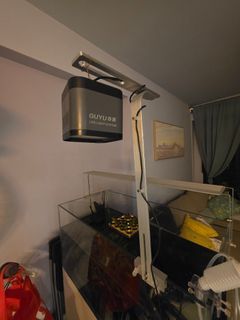 (Category: ) located in . Submitted by julenhayden (Listing ID 1467286672, Image 1). Description: .
