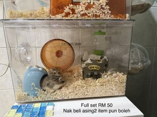 (Category: ) located in . Submitted by trusted_orderservice (Listing ID 1467242799, Image 1). Description: .