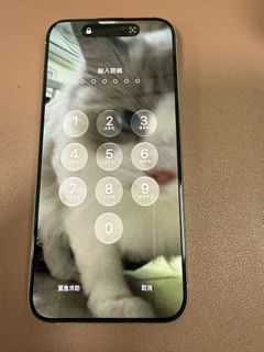 （分類：）位於 。 由 oio.6181914 提交（商品編號 1467347678，圖片 1）。簡介： 。