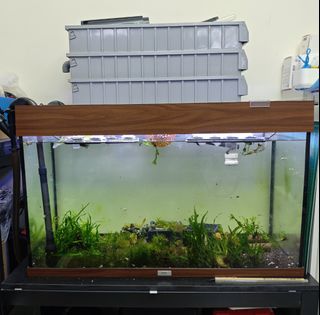 （分類：）位於 。 由 llcc1123 提交（商品編號 1467320474，圖片 1）。簡介： 。