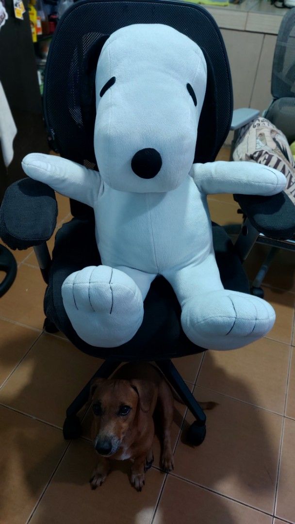 Large Snoopy plush toy stuffed animal (Category: Plushies & Soft Toys) located in Caloocan City. Submitted by arlynsangc14783 (Listing ID 1467336393, Image 2). Description: - Big Snoopy plush toy, great for hugging or room decor - Soft white fabric with detailed stitching on paws - Features iconic black ears, nose, and eyes - Clean condition with no tears or stains noticed - Dog shown in background for size comparison only As is what you see is w