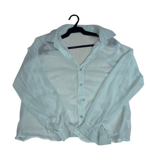 Light Green Sheer Button Down Shirt (Category: Longsleeves) located in Manila. Submitted by dechlotter_ (Listing ID 1467306615, Image 2). Description: .