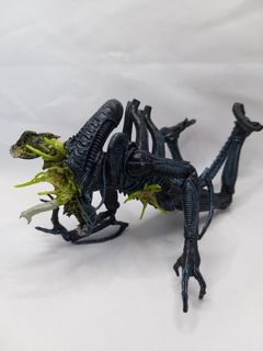 （分類：）位於 。 由 iamwcm 提交（商品編號 1467220497，圖片 1）。簡介： 。