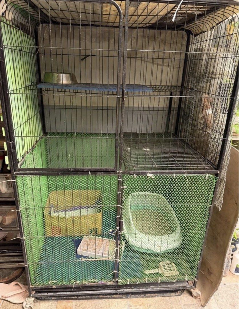 Pet cage Large size (Category: Homes & Other Pet Accessories) located in Rizal. Submitted by laloveee (Listing ID 1467356166, Image 1). Description: Bought the item in the orange app. Cat was rehomed cause of allergies and asthma.