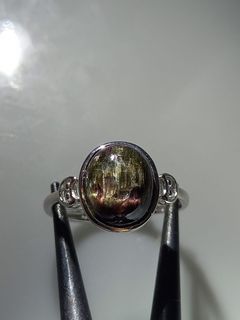 (Category: ) located in . Submitted by cheerday888 (Listing ID 1467292375, Image 1). Description: .