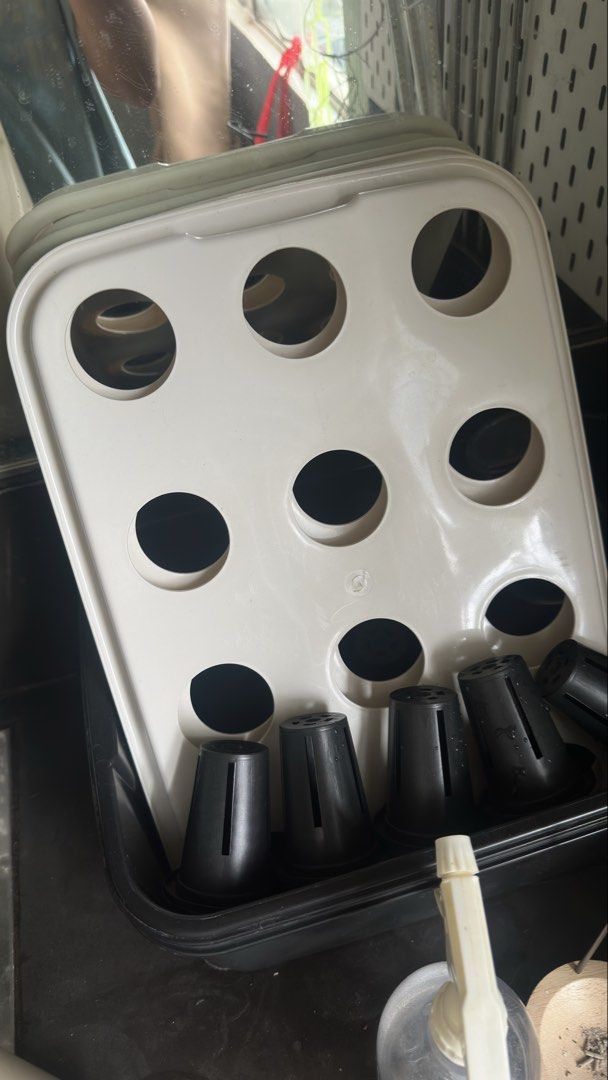 Ramgo Hydroponic Pot Tray with Nutrients and Grow Lights (Category: Pots & Planters) located in Mandaluyong City. Submitted by libadiam_505 (Listing ID 1467240845, Image 1). Description: - Complete indoor hydroponic growing kit - ready to use! - 2 Ramgo 16x12x5.75 inch black tray with 12 holes and net pots included - Complete NH nutrients set: Lettuce formula and iron chelate bottles - Two types of LED grow lights: 100W floodlight style lamp and 