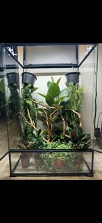 (Category: ) located in . Submitted by malplace (Listing ID 1467204408, Image 1). Description: .