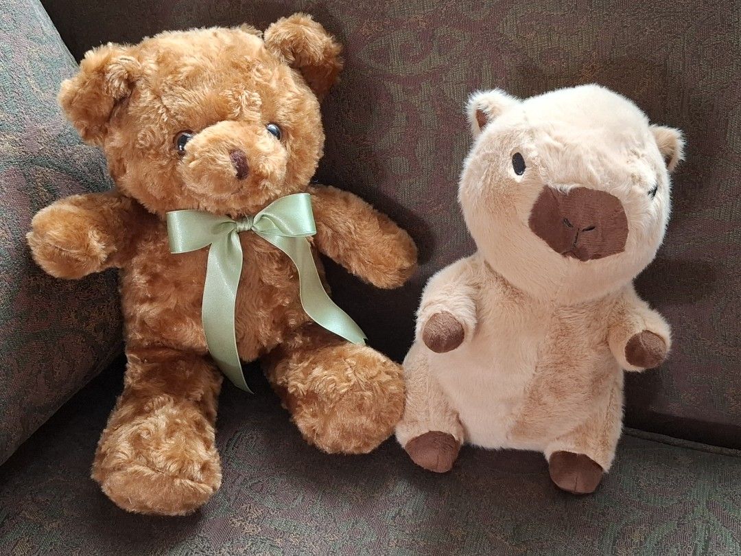 Stuffed toys capybara and teddy bear (Category: Plushies & Soft Toys) located in Pasig City. Submitted by keekeedee (Listing ID 1467229250, Image 1). Description: selling as set , their heights are approximately 11 and 12 inches.
