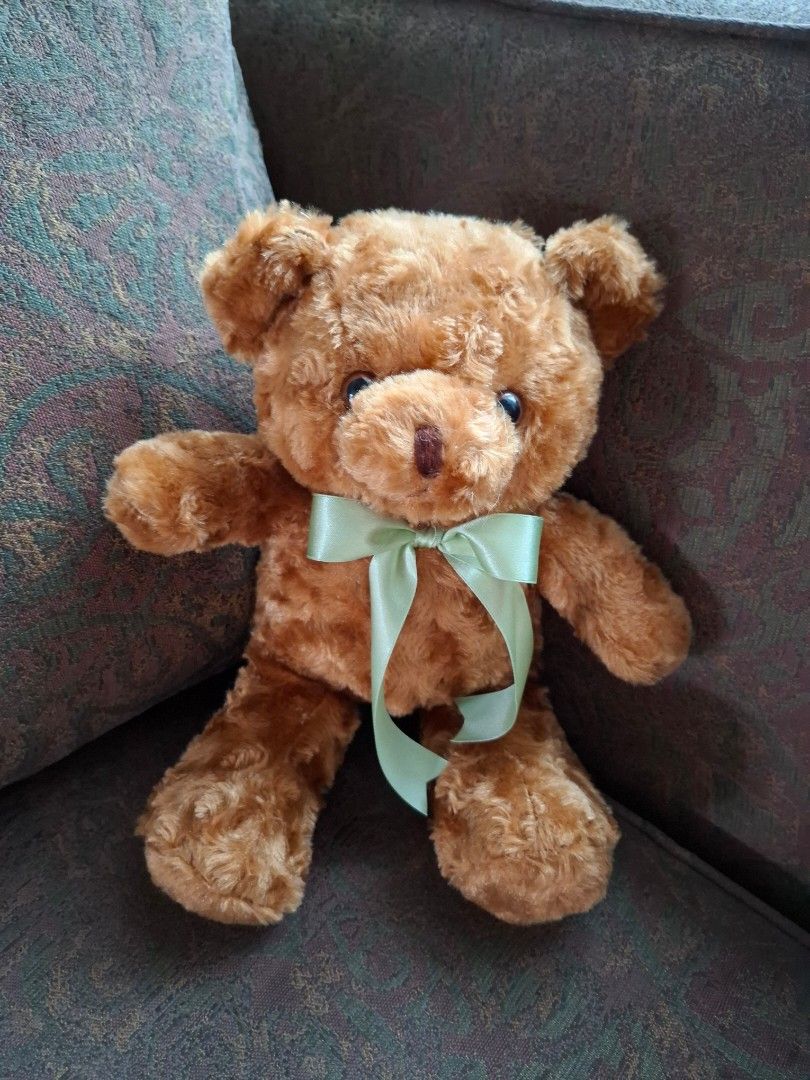 Stuffed toys capybara and teddy bear (Category: Plushies & Soft Toys) located in Pasig City. Submitted by keekeedee (Listing ID 1467229250, Image 2). Description: selling as set , their heights are approximately 11 and 12 inches.
