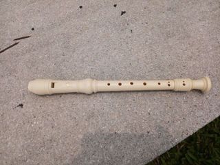 Plastic musical recorder flute wind instrument, Hobbies & Lifestyle ...