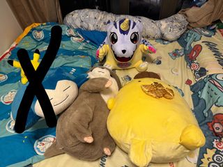 （分類：）位於 。 由 Osaka_ 提交（商品編號 1461052860，圖片 1）。簡介： 。