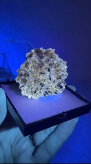 （分類：）位於 。 由 js_minerals_collection 提交（商品編號 1467373478，圖片 1）。簡介： 。