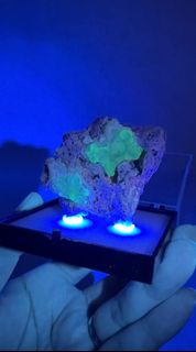 （分類：）位於 。 由 js_minerals_collection 提交（商品編號 1467373554，圖片 1）。簡介： 。