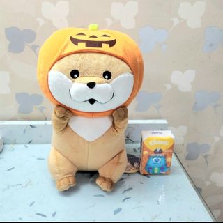 （分類：）位於 。 由 aaeesell 提交（商品編號 1467463134，圖片 1）。簡介： 。