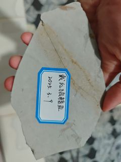 （分類：）位於 。 由 horacelam5481 提交（商品編號 1467478657，圖片 1）。簡介： 。