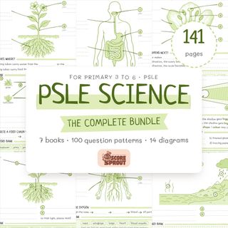 PSLE 2027 Collection item 1