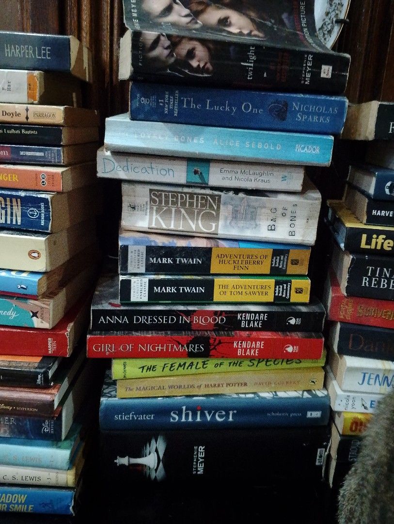 take all books 3500 (Category: Storybooks) located in Rizal. Submitted by Prelovely_things (Listing ID 1467447238, Image 3). Description: 43 pieces of known books for only 3,500 Mixed of mmpb, tpb, and hb Rick Riordan, C.S. Lewis, Dan Brown, Nicholas Sparks, Mark Twain, Stephen King, Stephanie Meyer, Elle Kennedy, Roald Dahl Genre are mixed of fantasy, romance, mystery, classic 📌 LOC: Cainta, Rizal 🚚 MOD: J&T Express or Lalamove (for sdd) 💵 MO