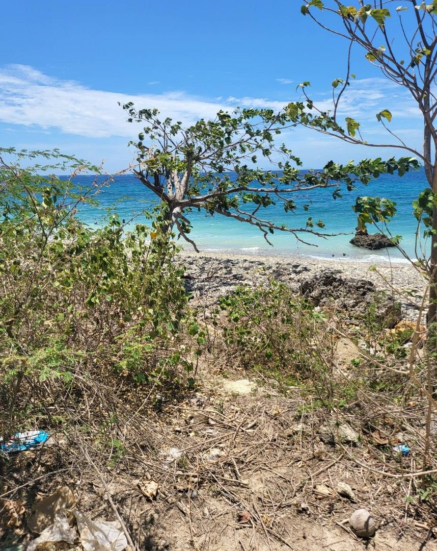 Beach front lot (Category: Lot) located in Quezon City. Submitted by mlipana (Listing ID 251292186, Image 2). Description: Beach Front lot 4993 sqm Brgy Malabrigo, Lobo Batangas.