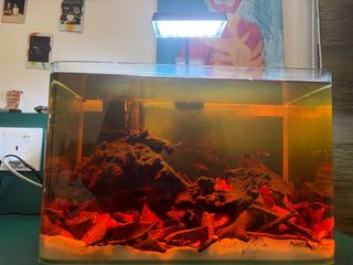 (Category: ) located in . Submitted by wayn3lim (Listing ID 1467472931, Image 1). Description: .