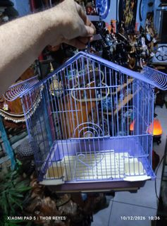 (Category: ) located in . Submitted by mighthor0526 (Listing ID 1467387884, Image 1). Description: .