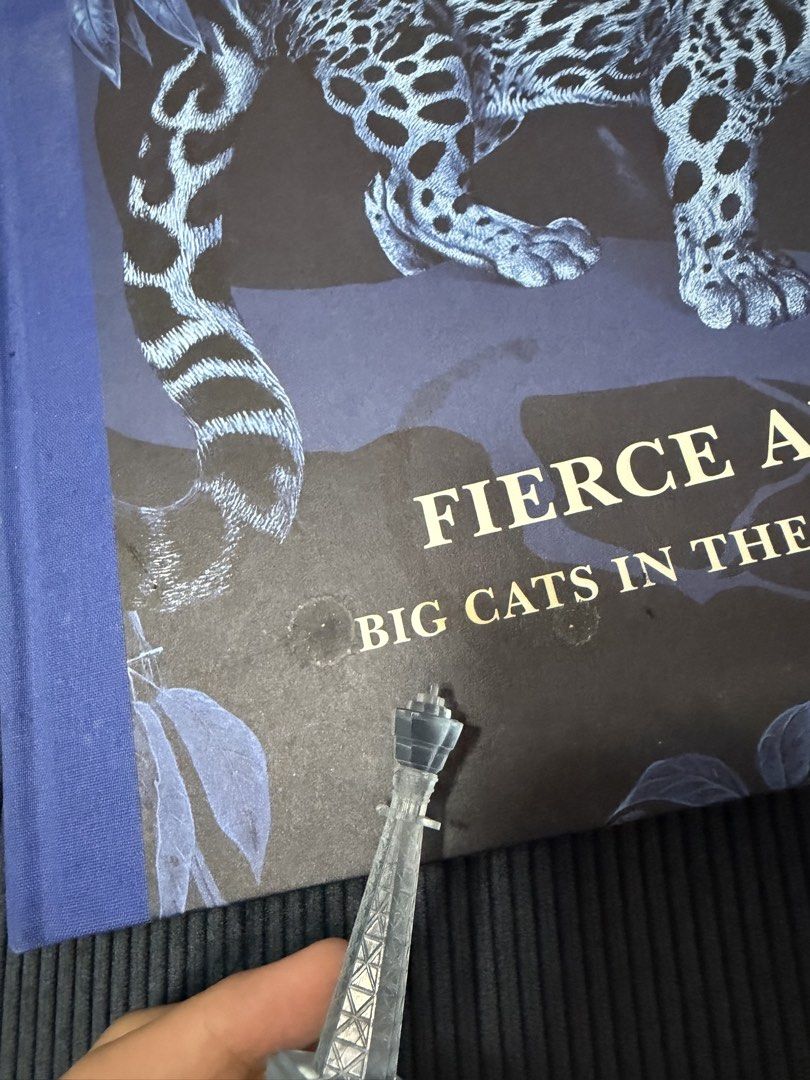 Fierce and Fragile Collab with Hermes Robert Dallet (Category: Magazines) located in Marikina City. Submitted by bg22.23 (Listing ID 1467366418, Image 3). Description: Large book.