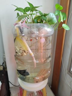 (Category: ) located in . Submitted by stmk25 (Listing ID 1467404368, Image 1). Description: .