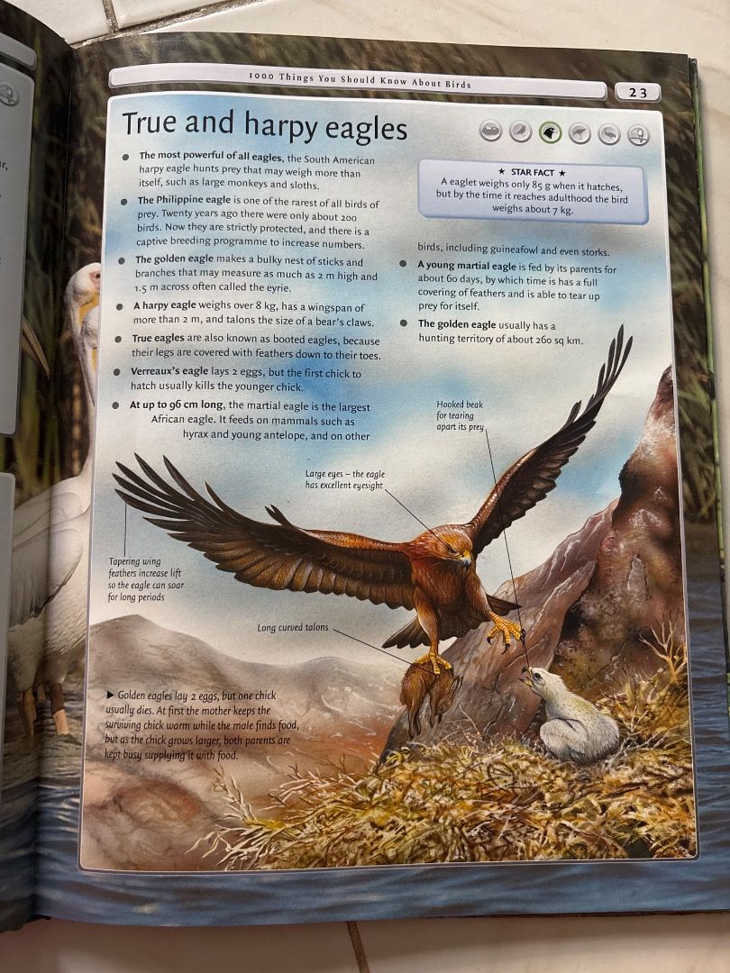 Grolier 1000 things you should know about Birds (Category: Children's Books) located in Caloocan City. Submitted by coolwolf.718322 (Listing ID 1467372495, Image 2). Description: .