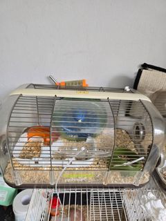 (Category: ) located in . Submitted by joo.marcus1968 (Listing ID 1467365199, Image 1). Description: .
