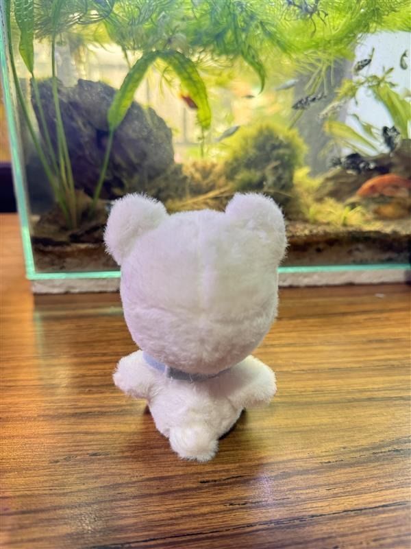 Hacipupu Growling Polar Bear (Category: Designer & Blind Box Toys) located in Rizal. Submitted by janroberto (Listing ID 1467431961, Image 2). Description: No box With card.
