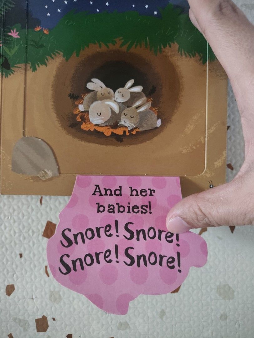 Lift the Flap Boardbook (Category: Children's Books) located in Taguig. Submitted by cleanupmomma (Listing ID 1467413256, Image 3). Description: Please take time to read ❤️ Like New Lift the Flap no flaws wyiwyg.