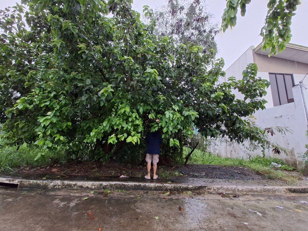 LOT FOR SALE (Category: Lot) located in Manila. Submitted by madel_14 (Listing ID 1467400963, Image 1). Description: VACANT LOT FOR SALE!!! Metropolis East Exec Village Ph1 Brgy Pag-Asa Binangonan Rizal Angono boundary 150sqm Clean TCT Updated Annual Dues 3-5 Mins going to SM Center Angono Approximate 45 Mins going to Ortigas Center 2.5M Bank financing is welcome .
