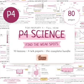 Primary Maths P1–P5 Collection item 2